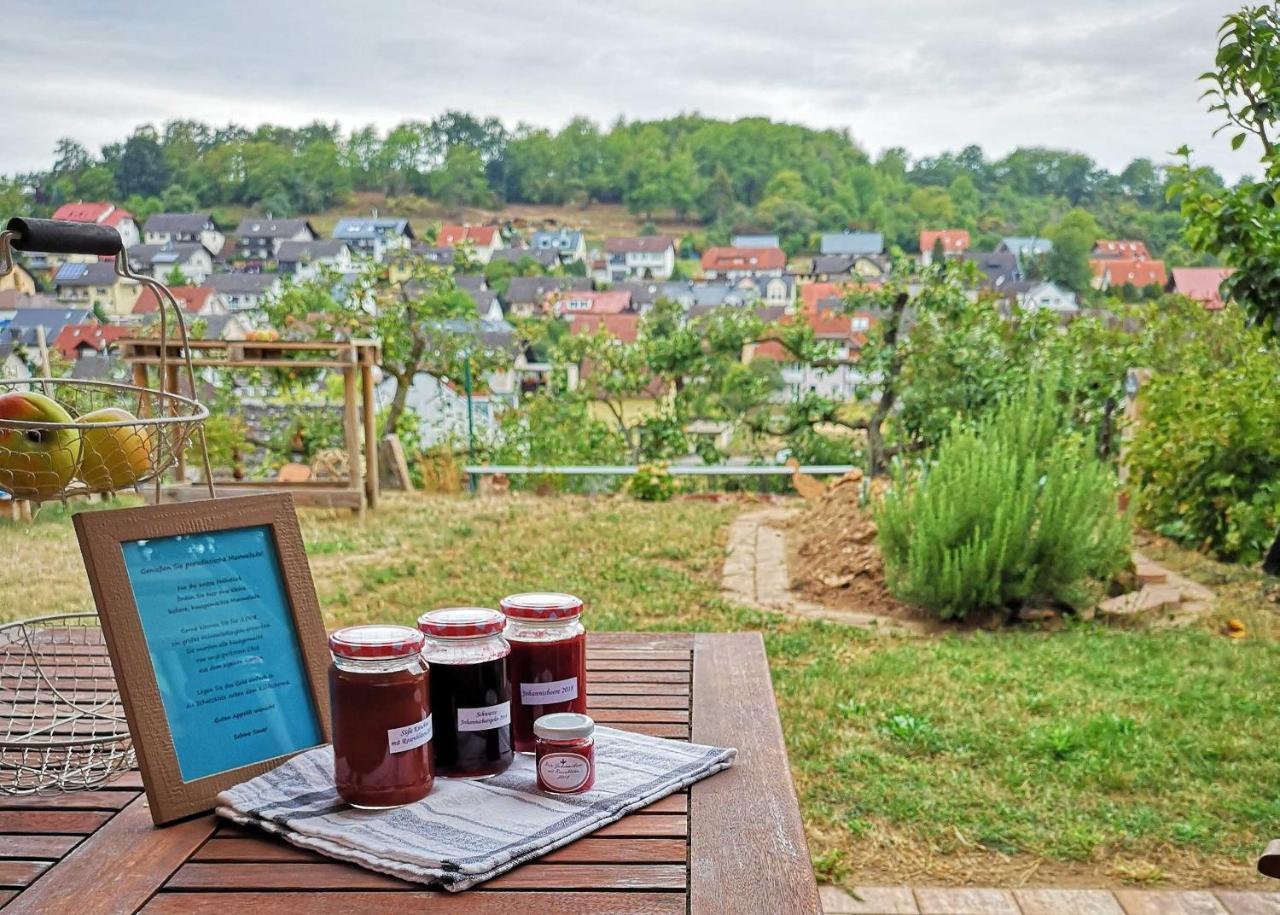 Ferienwohnung Im Paradies Momlingen Extérieur photo